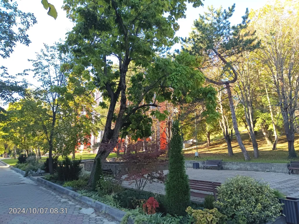 Апартаменты Семейные