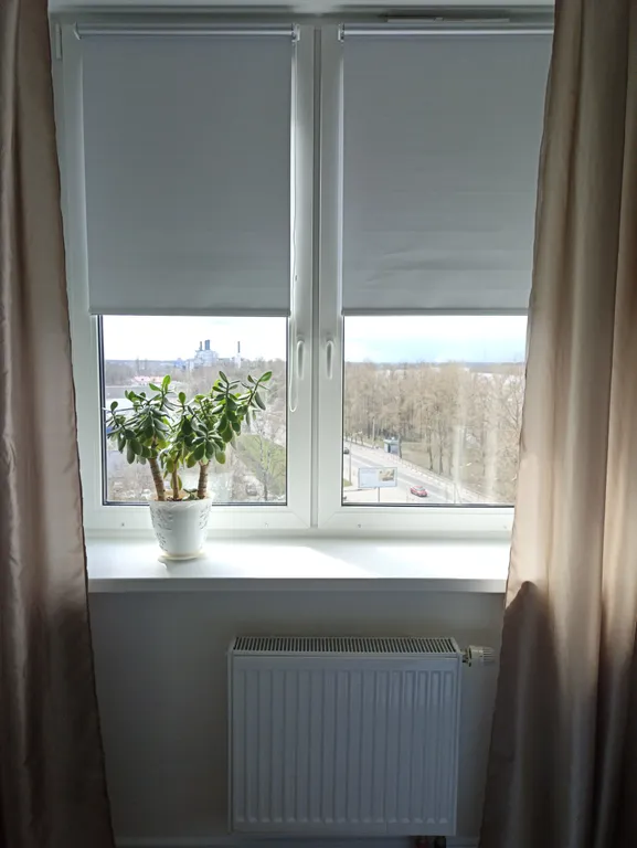 Квартира у Невы