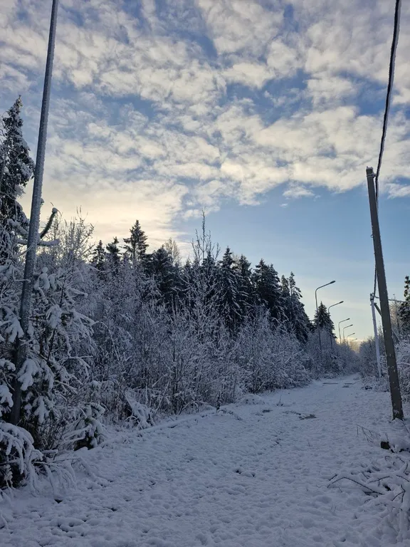 Дом для уединения в лесу и шумных вечеринок
