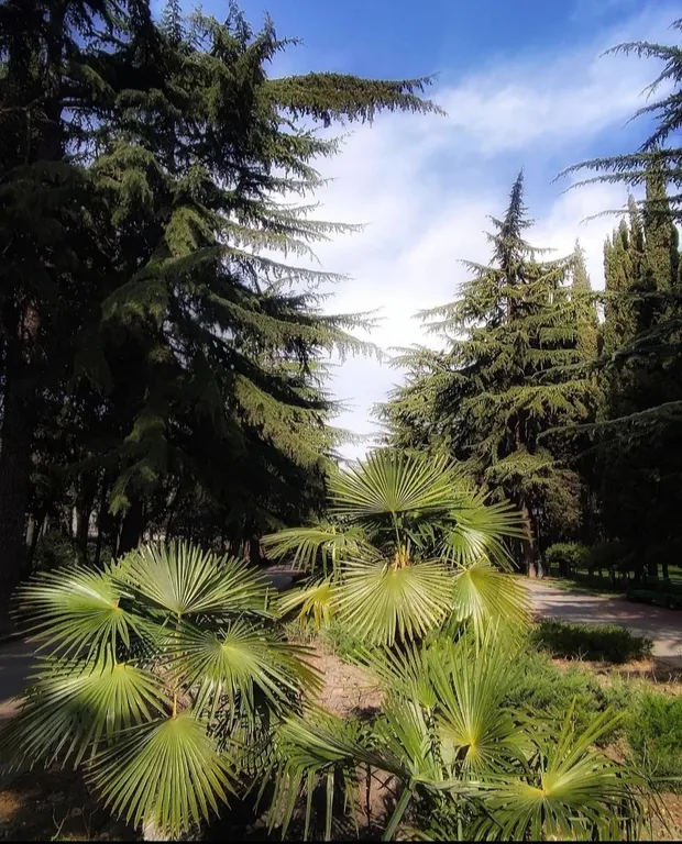 Уютный дом для семейного отдыха под ключ