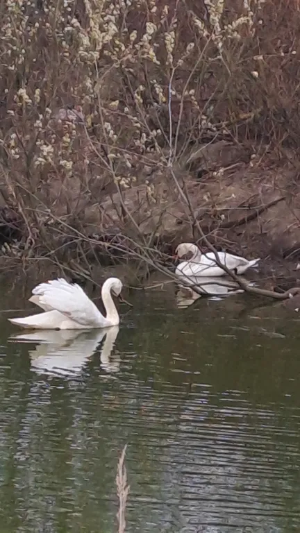 Стильный дом с банкетным залом