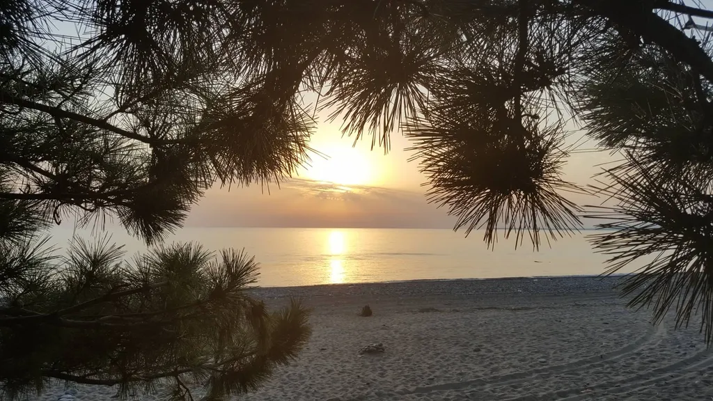 Дом с морем за калиткой