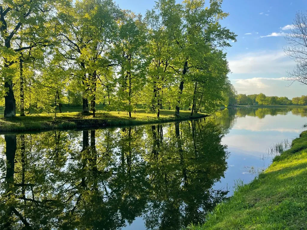 Уютный дом с дровяной баней и камином у Петергофа.
