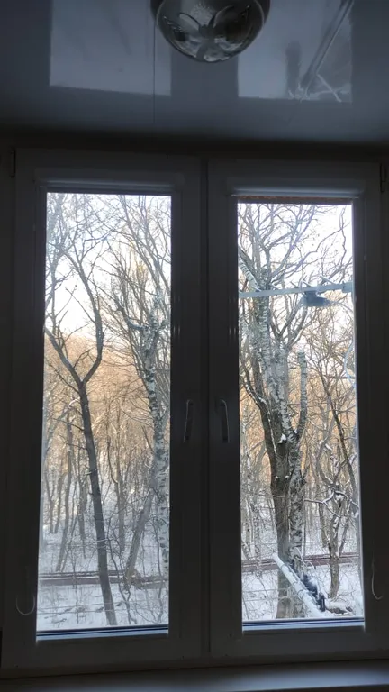 Уютная студия с видом на гору Железную и каскадную лестницу