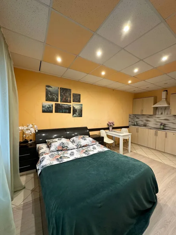 Квартира Стильная студия в удобной локации — аренда посуточно в Ногинск