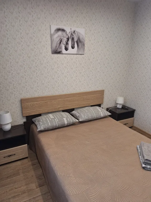 Квартира Уютная квартира в новом микрорайоне — Новосибирск