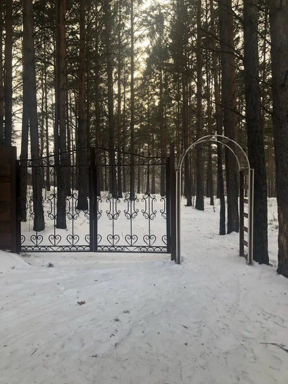 Уютный коттедж в сосновом бору