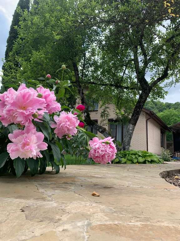 Домик в горах