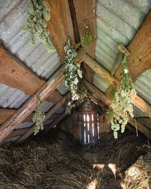 Очаровательный домик с деревенским колоритом вблизи замков