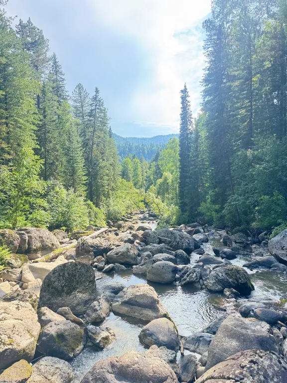 Шале светлый