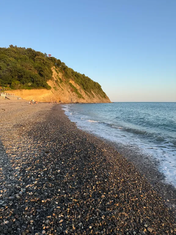 Глэмпинг Берег леса