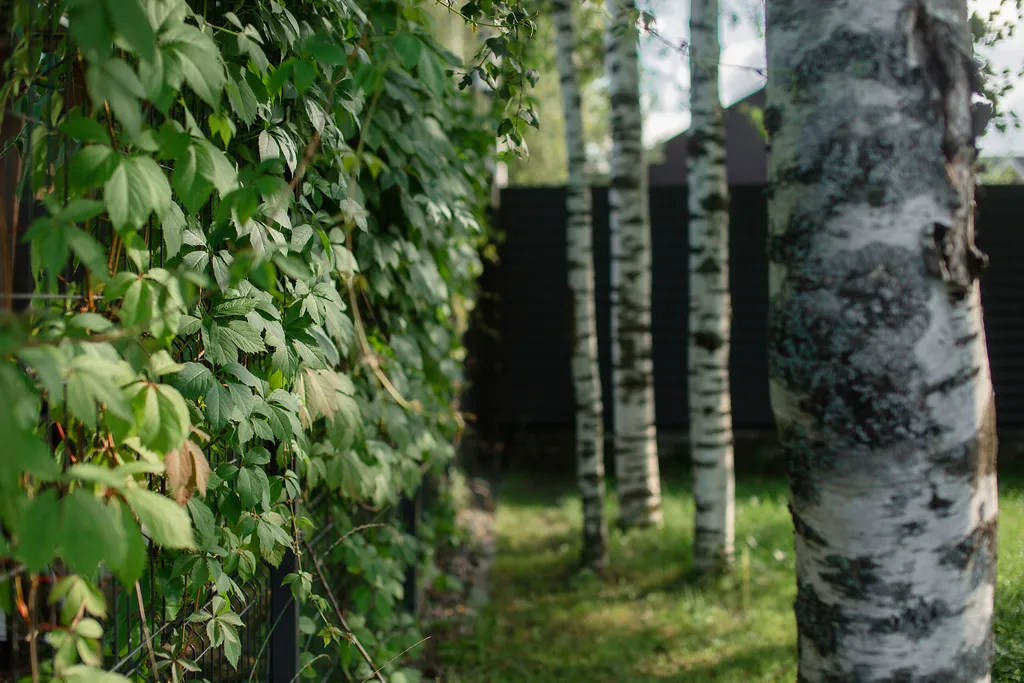 Коттедж Коттедж с панорамными окнами и террасой на крыше — Разметелево