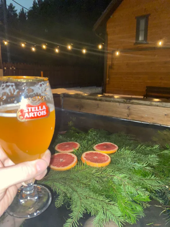 Новый уютный дом-баня с банным чаном у соснового леса