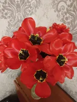 Наталья Степанова