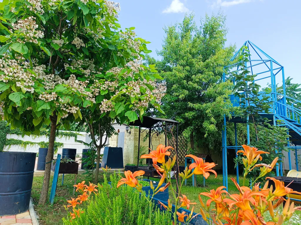 Уютные и комфортные комнаты