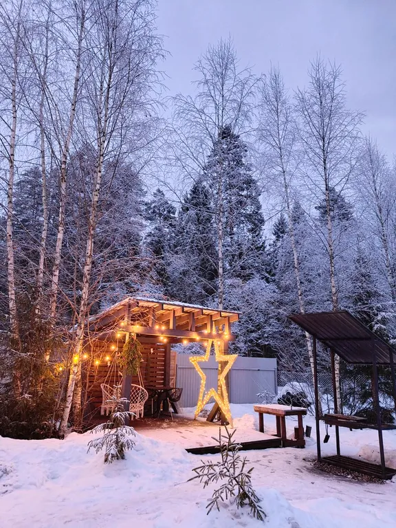 Дом с баней и чаном у леса
