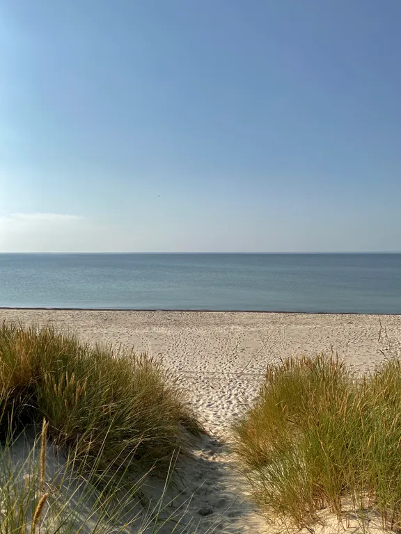 Квартира Квартира Апартамент Mint — Светлогорск