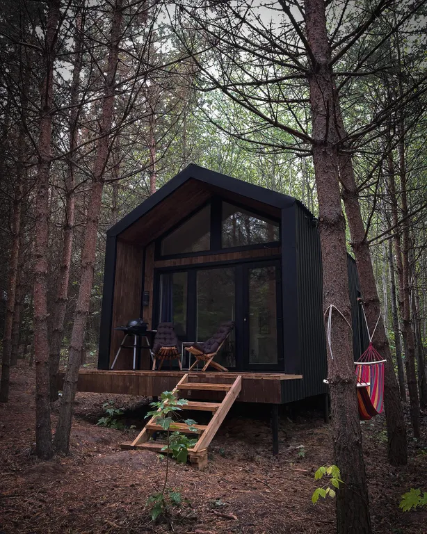 Уютный дом в глубине соснового леса