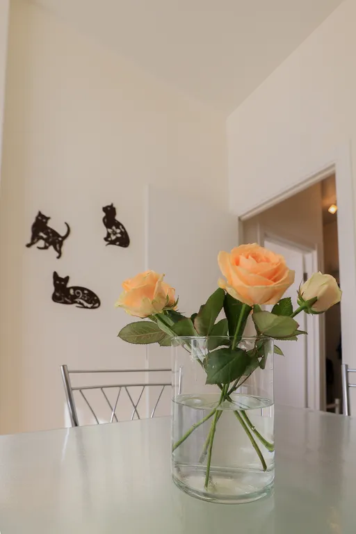 Квартира Квартира Вы это искали — Колпино