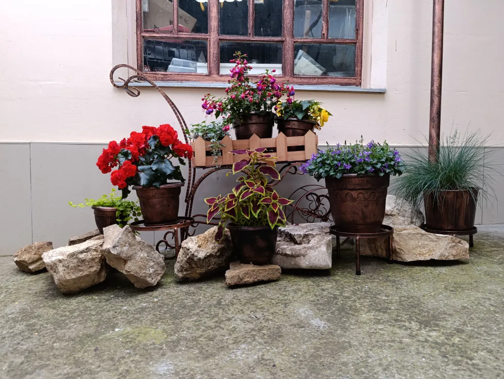 Коттедж Домик с садом в центре — Кисловодск