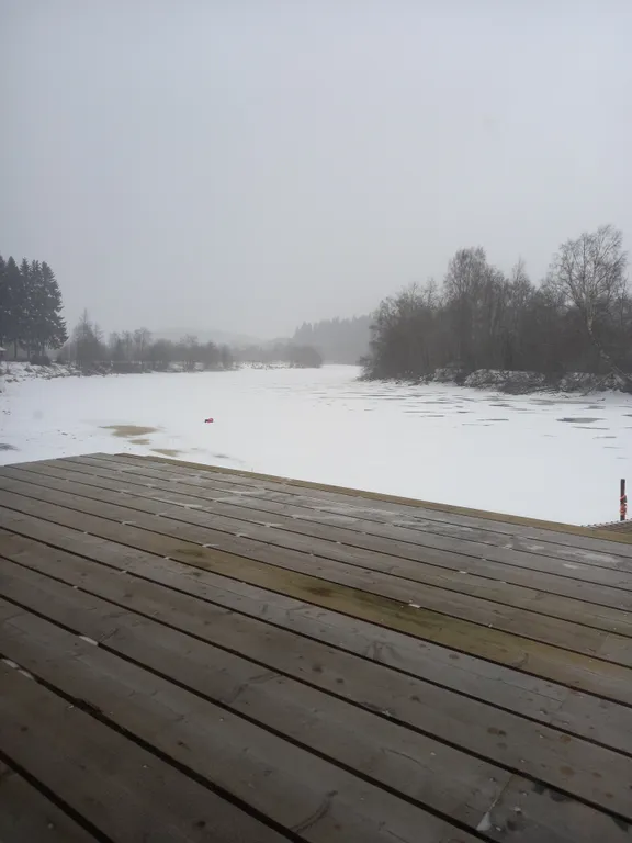 Дом Свой берег