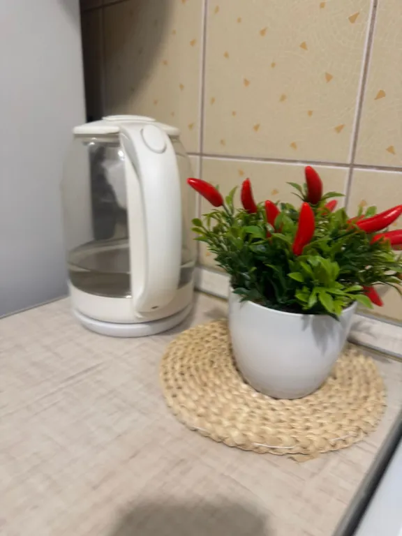 Квартира с тремя раздельными местами рядом с Добрым доктором