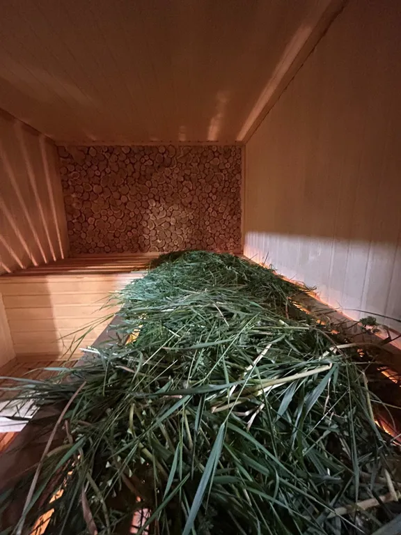 Гостевой дом А-фрейм в центре леса