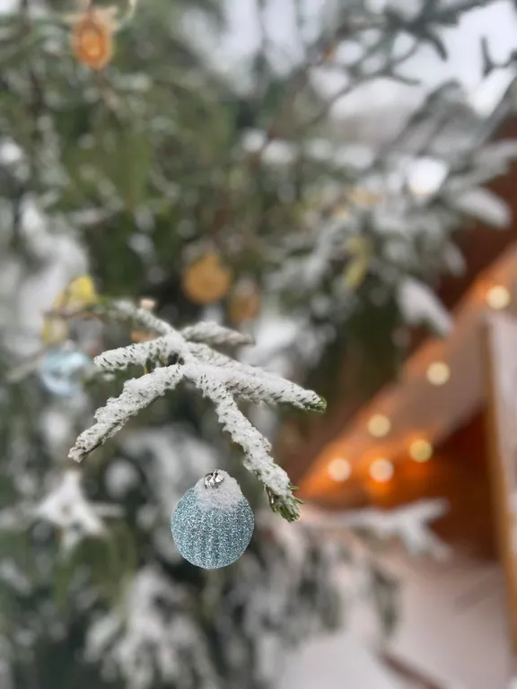 Лесной домик a-frame с террасой на холме, среди высоченных елей и берез