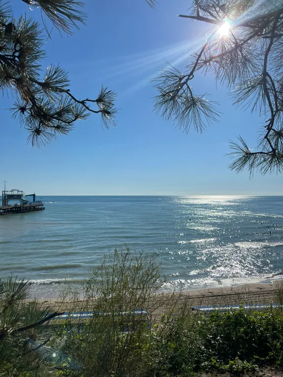 Студия у моря