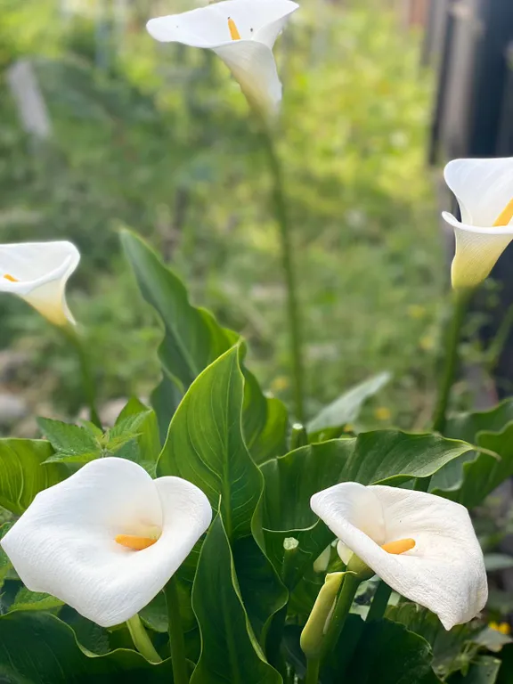 Домик на море С душой