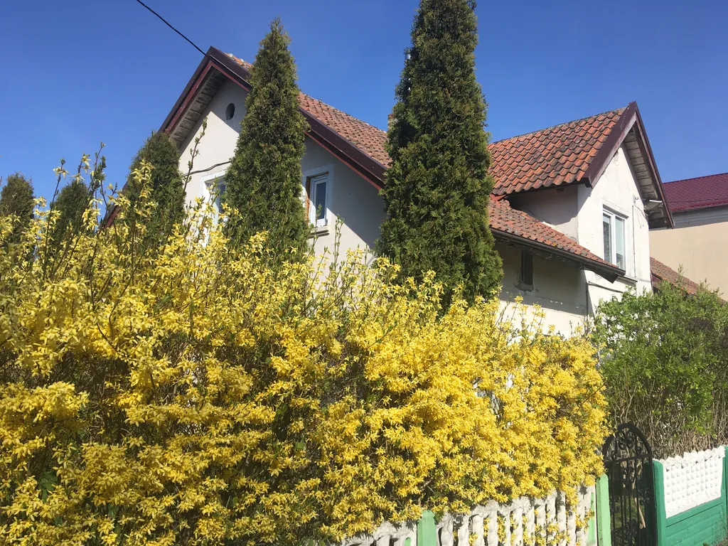 Квартира Апартаменты у Рыбного двора - Apartament at Fischhoff — Рыбачий