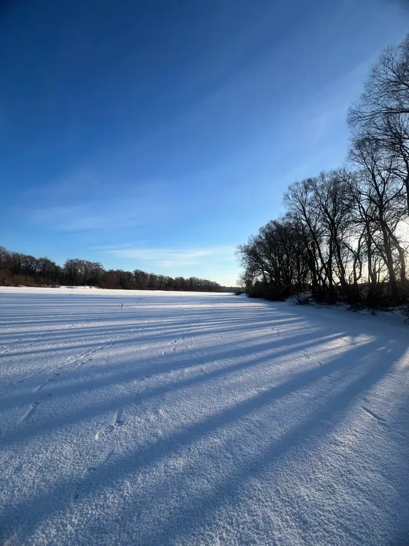 Дом на берегу лесного озера