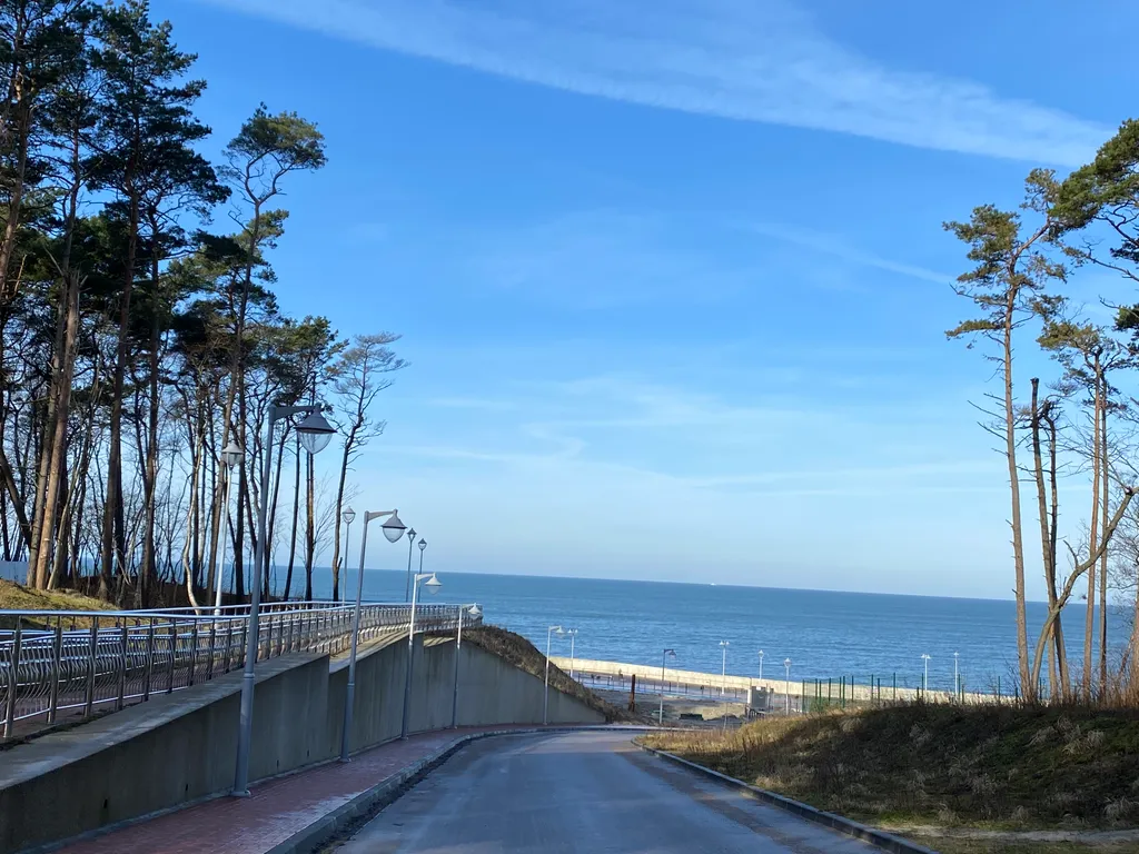 Квартира Солнечная квартира у моря — Светлогорск