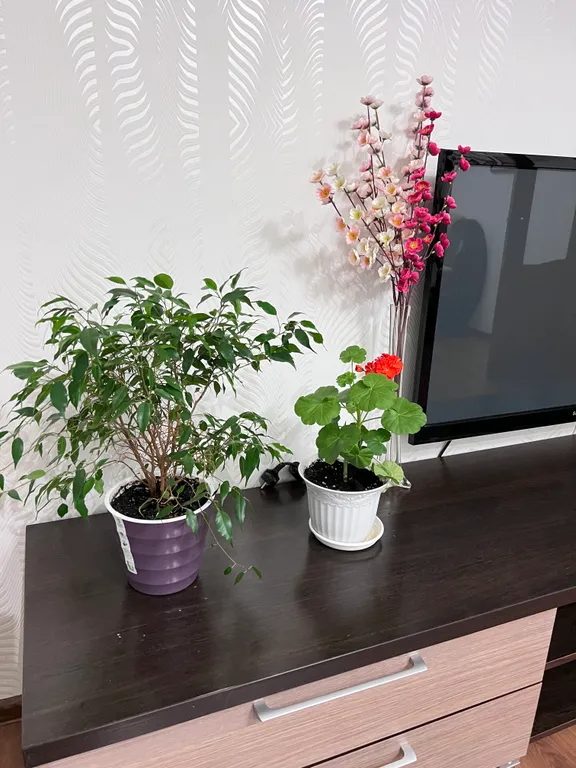 Уютная и просторная двухкомнатная квартира в центре