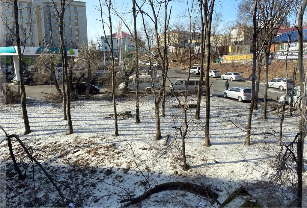 Квартира в развитом районе в 5 минутах езды от центра