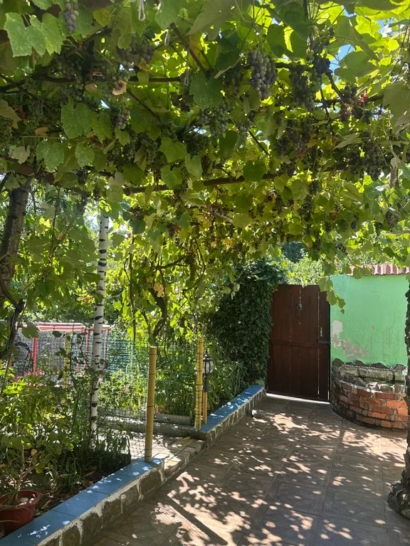 Уютный домик в лесу