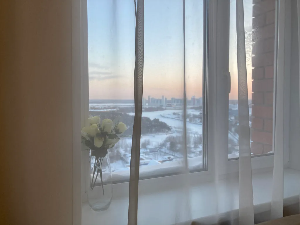 1-комнатная квартира с видом на парк За Саймой и реку Обь