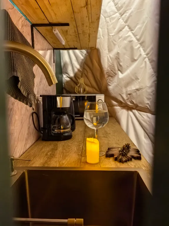 Купол в лесу