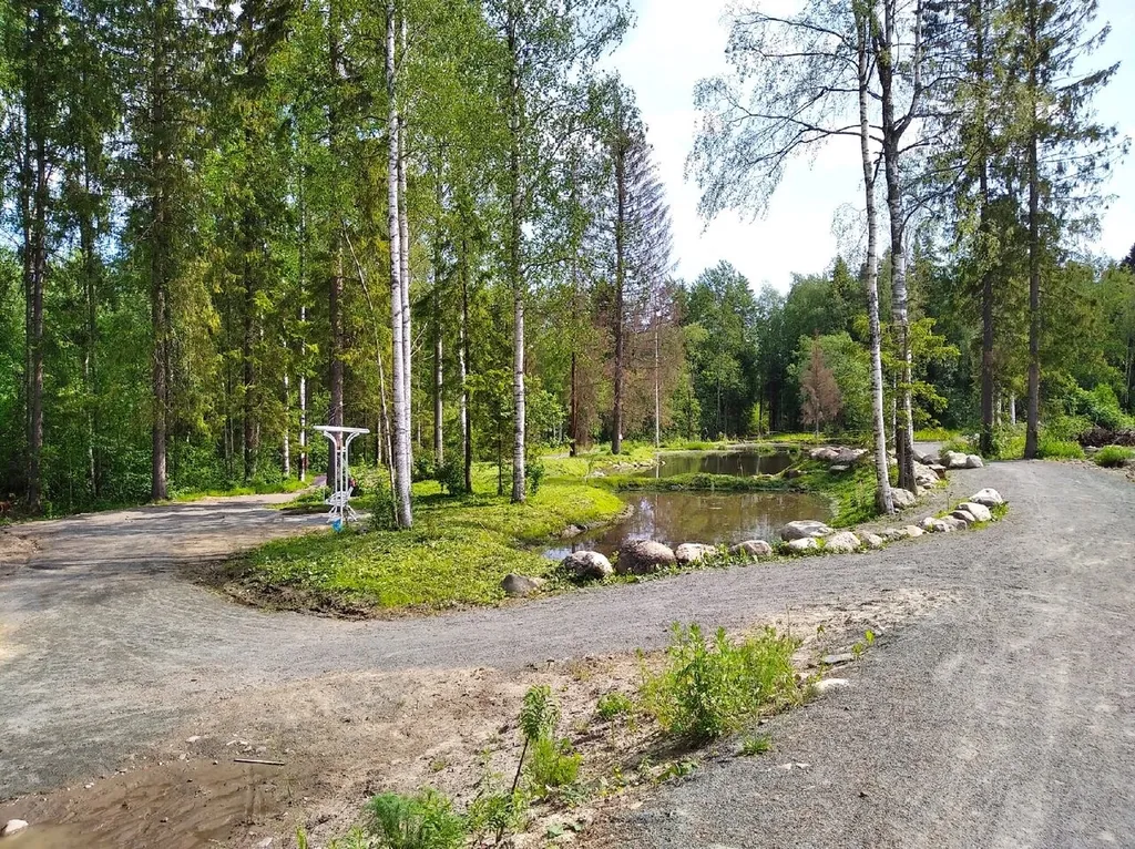 Новый коттедж с сауной и бассейном