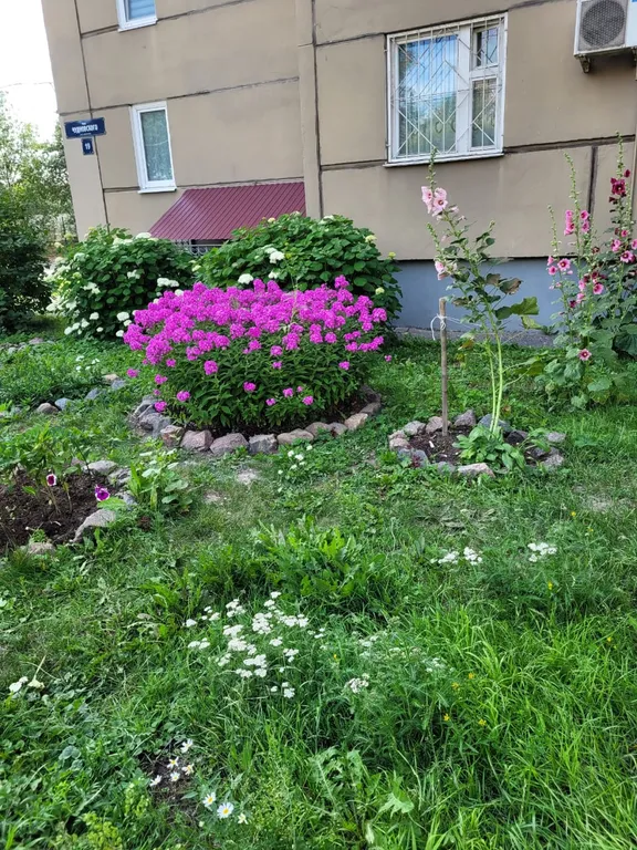 Квартира Уютная 3-комнатная квартира у Ледового Дворца на Большевиков — Санкт-Петербург