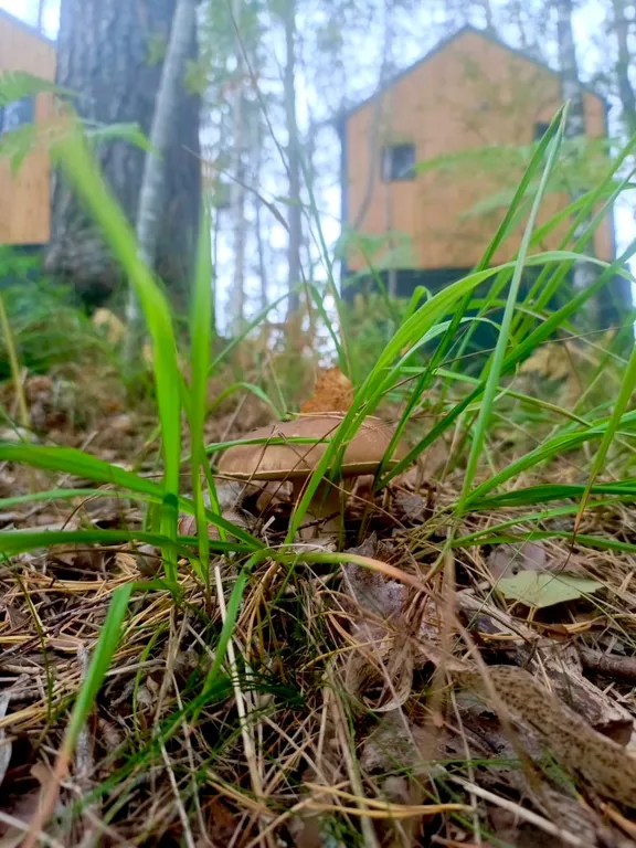 Дом на берегу залива Мусталанлахти