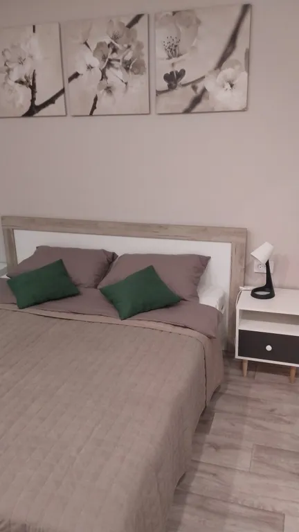 Уютная квартира крупного габарита возле парка