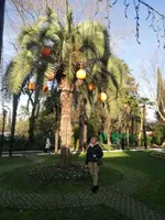 Наталья Корнеева