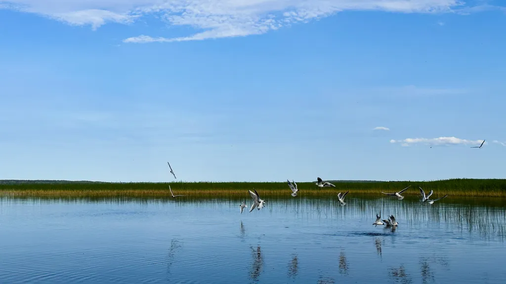 Коттедж Дом в лесу на берегу озера — Плодовое