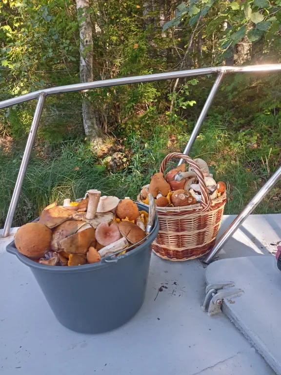 Уютный дом на Онежском озере