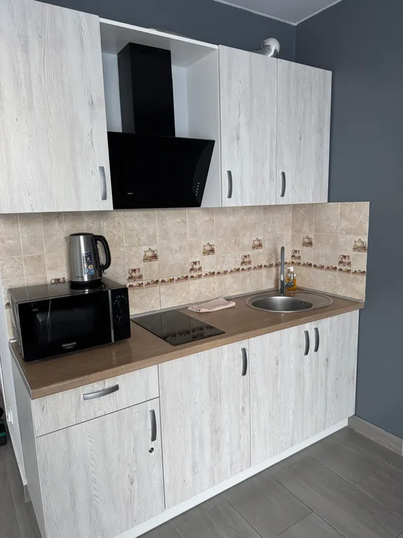 Квартира 1-комнатная Квартира — Сириус