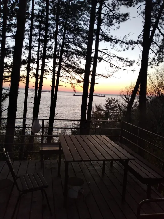 Студия с видом на лес и море