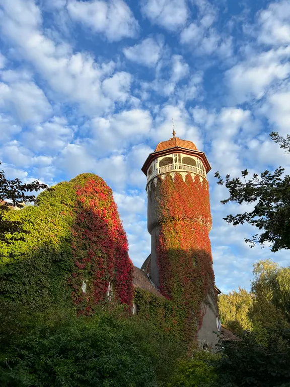 Раушен-Престиж 5