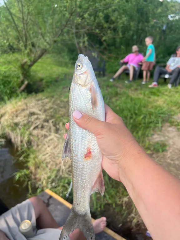 Уютный коттедж №1 у реки