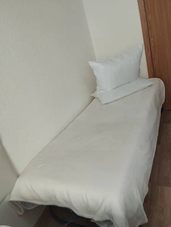 Уютная студия в Петродворцовом районе Санкт-Петербурга в Петергоф